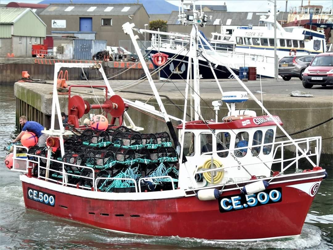 Large picture for advert 108017
