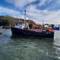 Extra picture for advert 115017