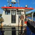 Extra picture for advert 115017